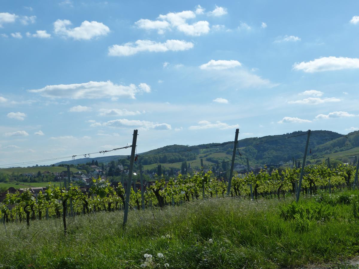 Gaestehaus Annel Niederhorbach Εξωτερικό φωτογραφία