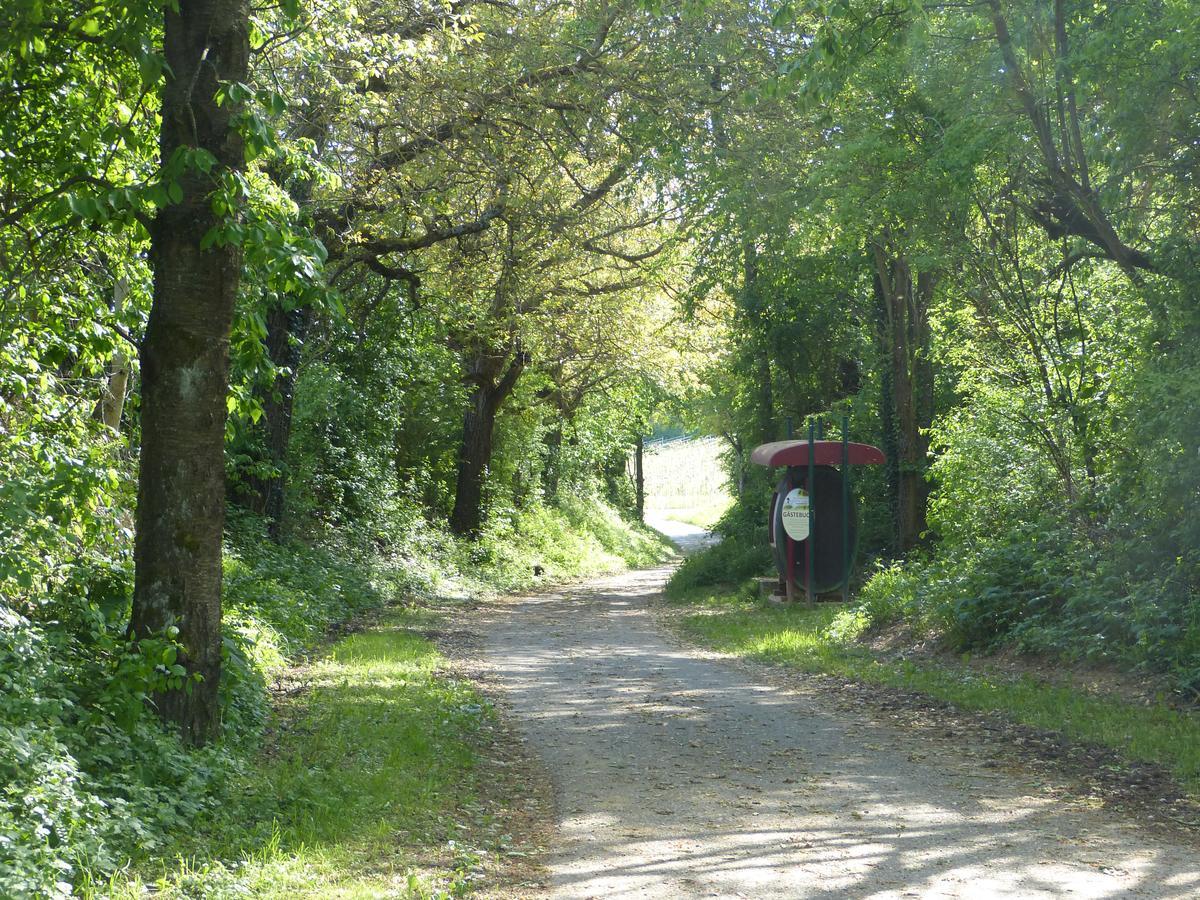 Gaestehaus Annel Niederhorbach Εξωτερικό φωτογραφία